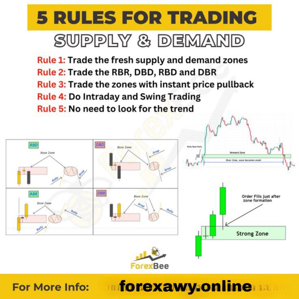 Demo vs. Live Trading: Key Differences Every Trader Must Know